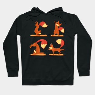 Funny Gift for Fox Lovers Hoodie